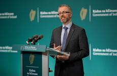 TDs and ministers condemn arson attacks as ‘domestic terrorism’ in the Dáil