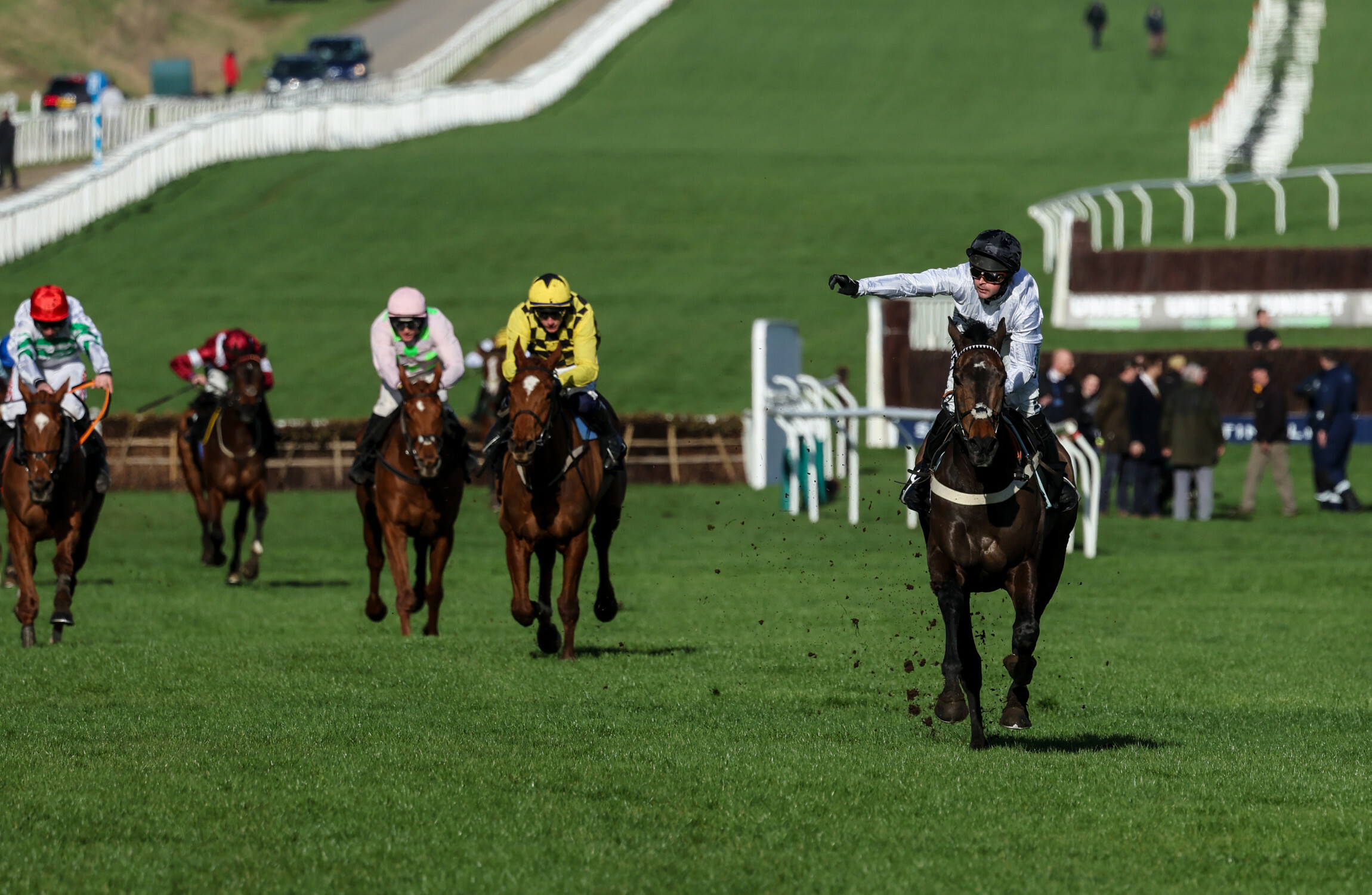 Nicky Henderson gives positive update on Constitution Hill after disappointing workout - Vimarsana News