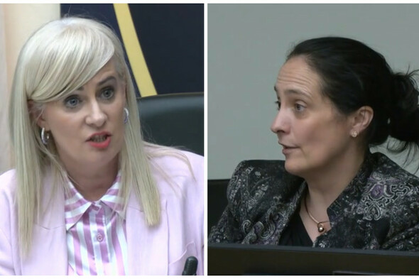 Chair of Media Committee says questions still remain over departure of former RTÉ editor - Vimarsana News