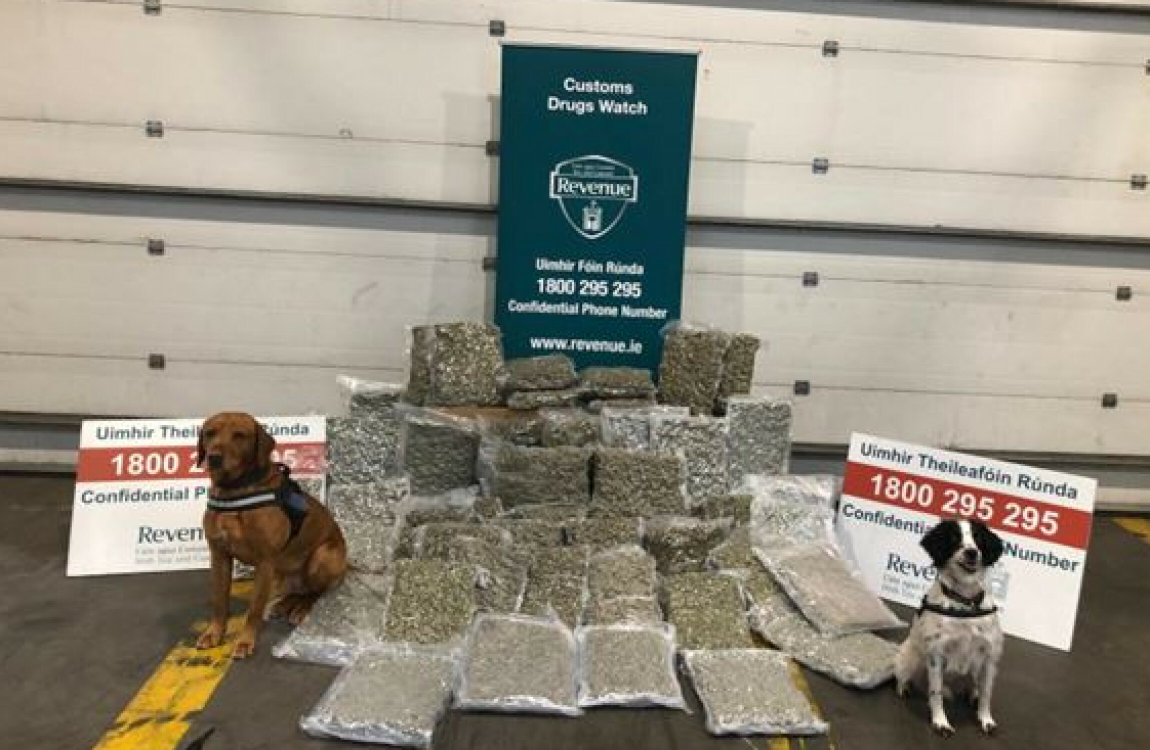 Over €1.2 million worth of herbal cannabis seized in Dublin and Louth - Vimarsana News