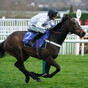 Rising Cheltenham hopes for Constitution Hill knocked by blood test results