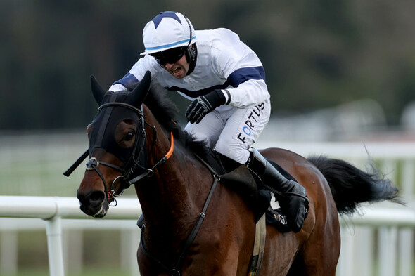 3 tips for Wednesday's card at Cheltenham - including a 14/1 Irish hope - Vimarsana News