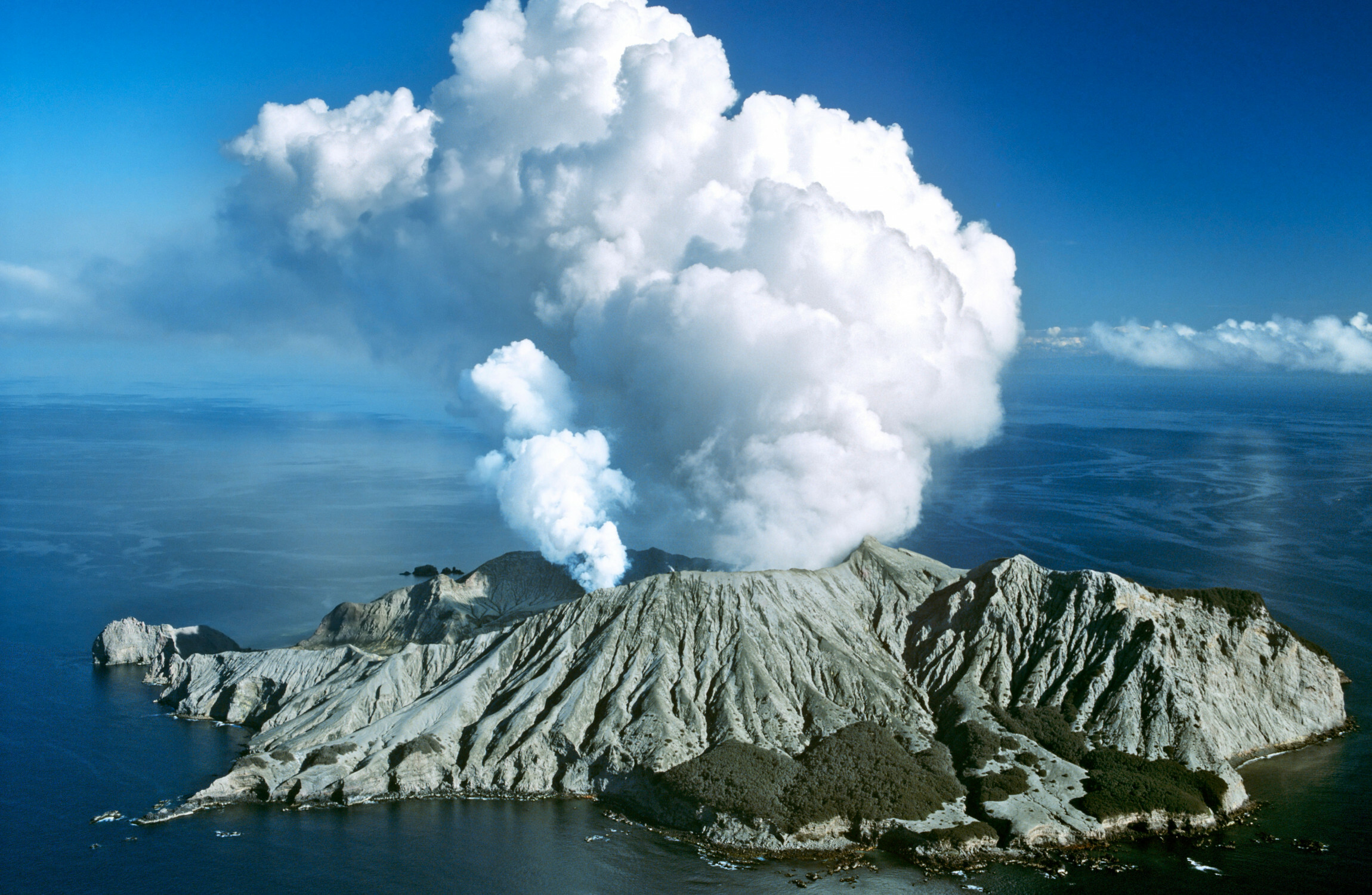 Tour operators ordered to pay €7.3 million over deadly 2019 eruption of New Zealand's White Island - Vimarsana News