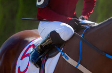 TDs call for independent investigation into how horse racing industry calculates deaths