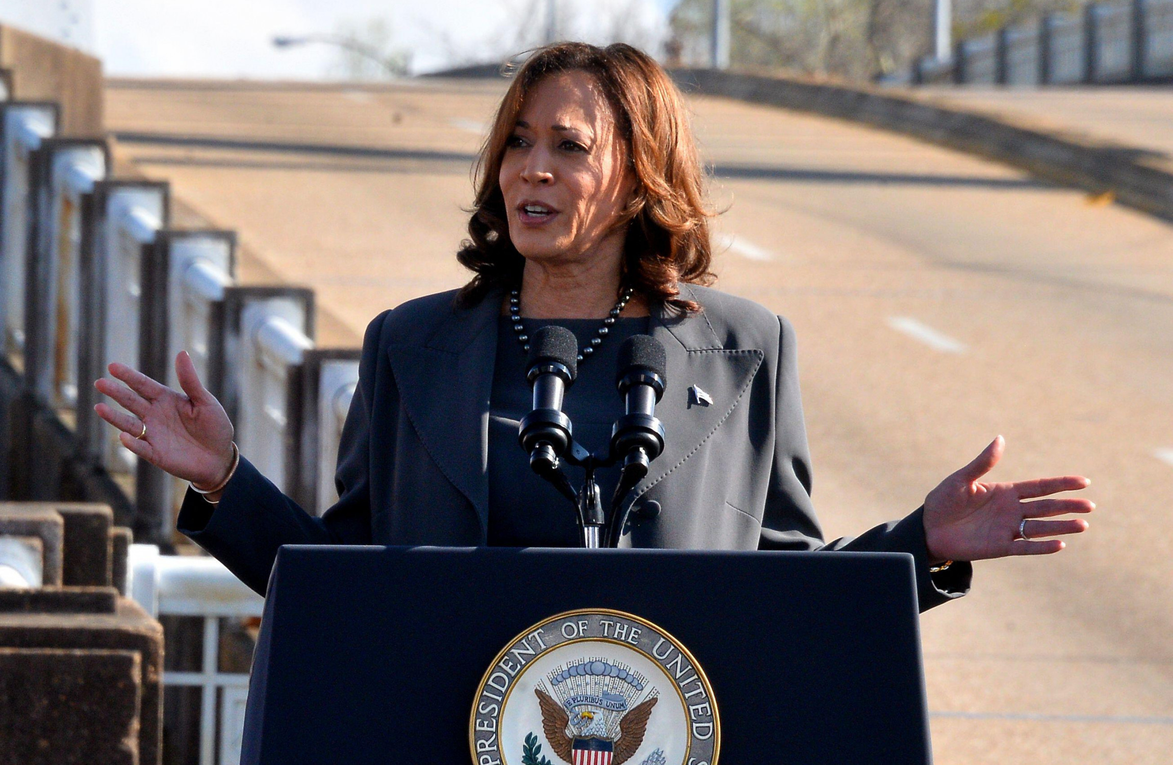 Kamala Harris Calls For 'immediate Six-week Ceasefire' As US Pushes To ...