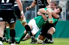 Green pastures: Chiefs' Whitten ready to 'give it a real rattle' against Leinster