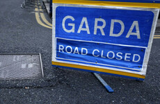 Man (20s) dies in Co Louth crash