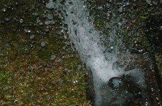 Poll: Has your local authority adequately informed you about water restrictions?