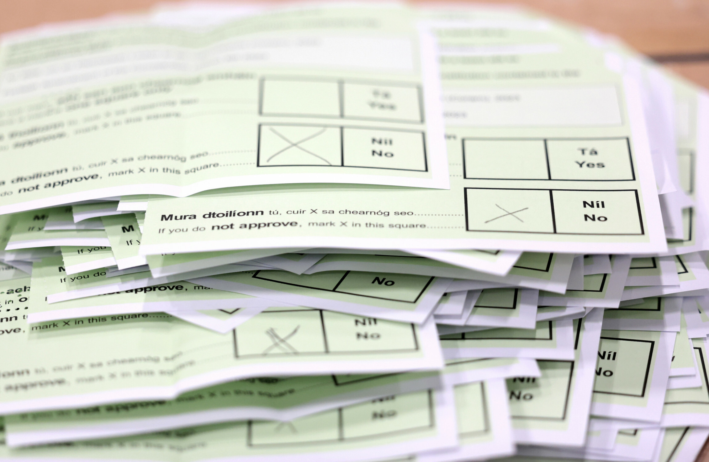 It's official: The Family referendum has been defeated - Vimarsana News