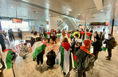 Pro-Palestine protesters occupy departure halls of Shannon Airport