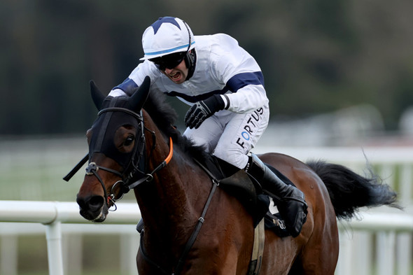 3 tips for Wednesday's card at Cheltenham - including a 14/1 Irish hope - Vimarsana News