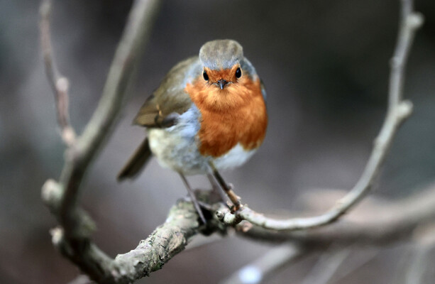 Voici ce qui s'est passé aujourd'hui : lundi · TheJournal.ie