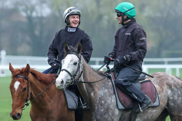 Poll: Who do you think will win today's Champion Hurdle at Cheltenham? - Vimarsana News