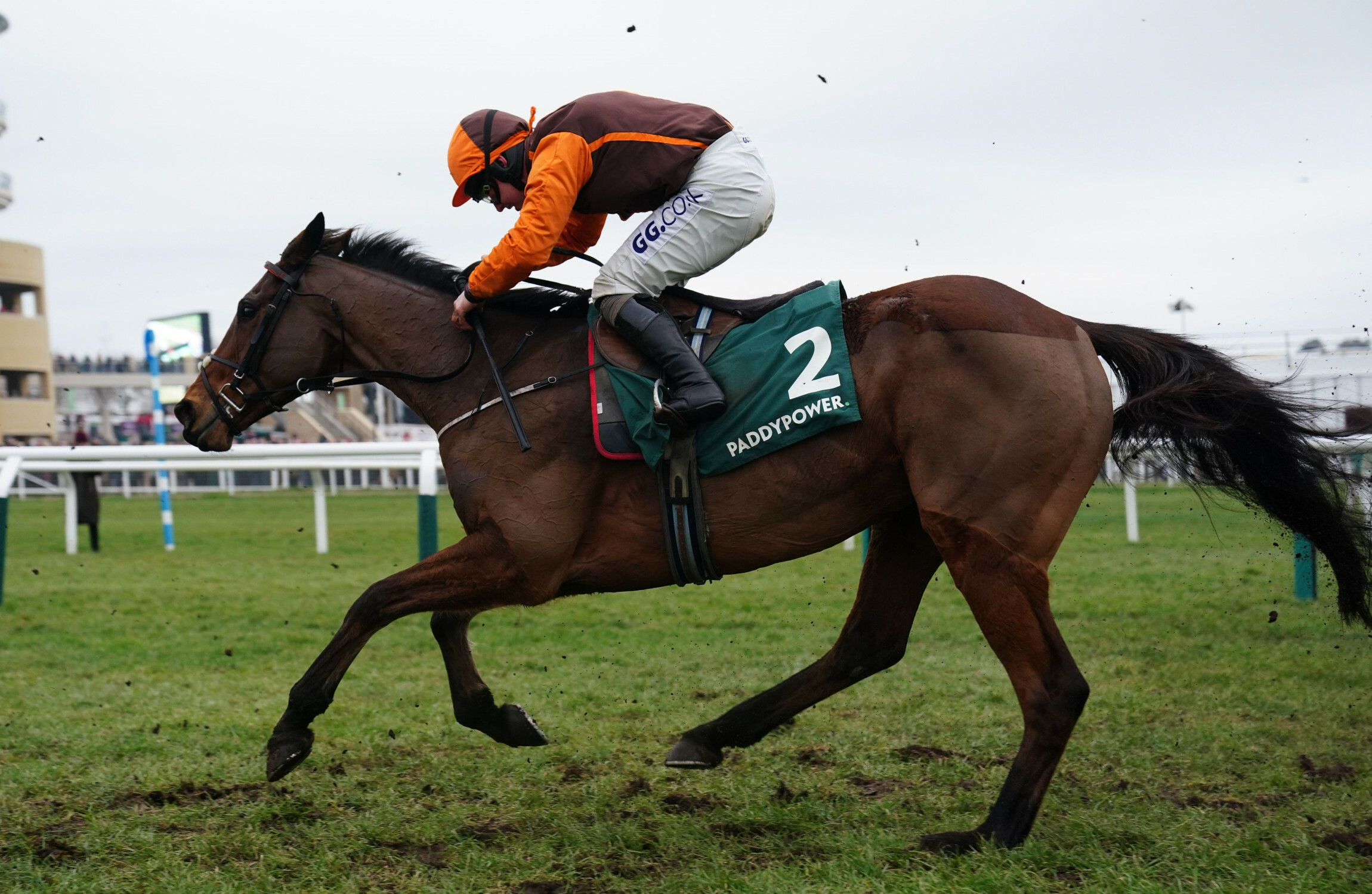 Three previous winners and Grand National victor lead the way at Stayers' Hurdle - Vimarsana News