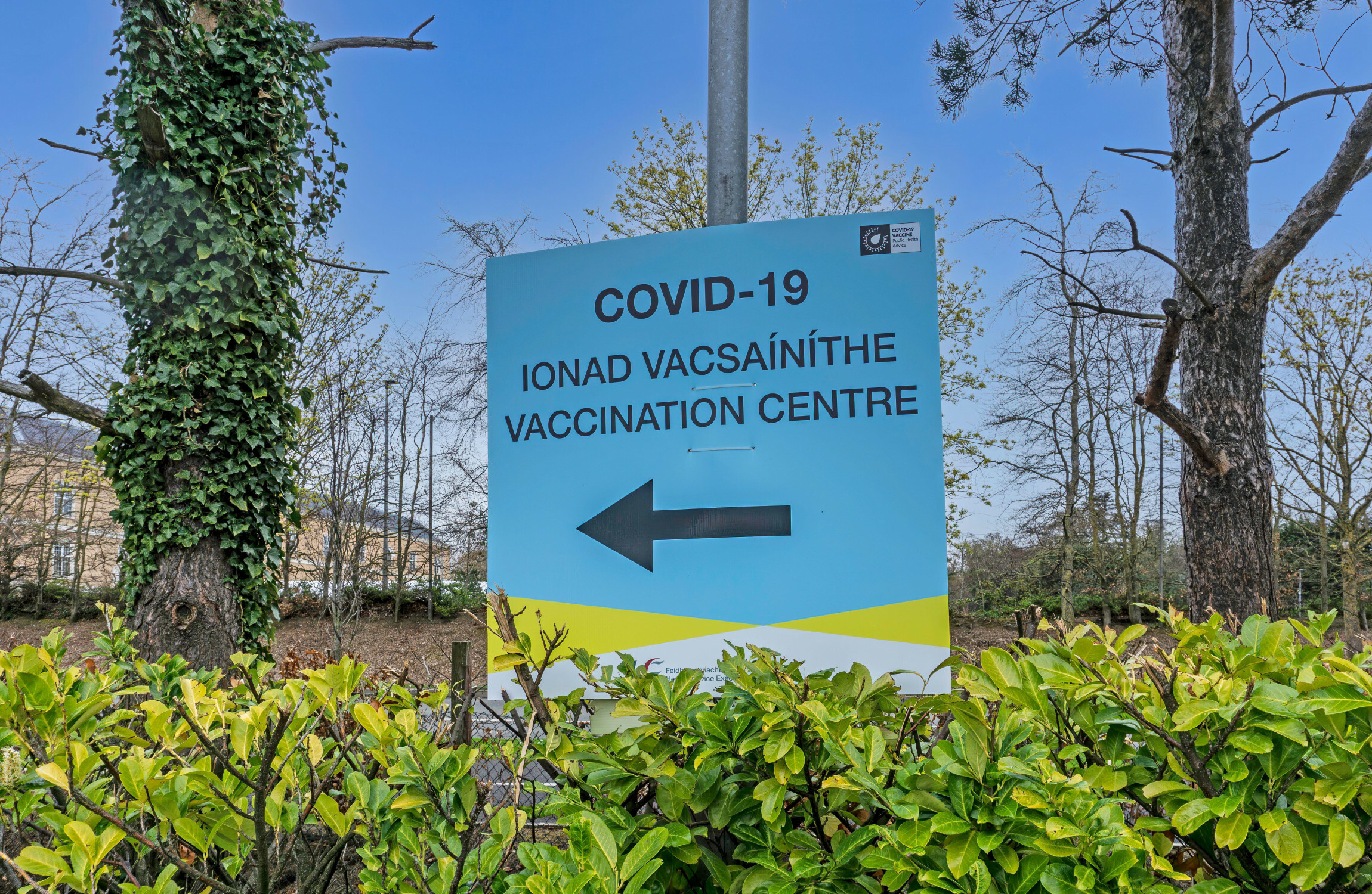 HSE says 'misconfiguration' of Covid vaccine dataset did not result in 'unauthorised viewing' of data - Vimarsana News