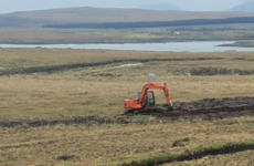 Pádraic Fogarty: Ireland's bogs are its rainforests — we have failed them