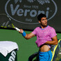 Alcaraz fights off swarming bees and Zverev to book semi-final spot at Indian Wells