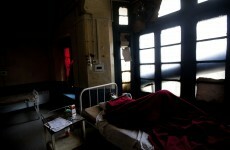 Rats recruited to hunt for TB in Mozambique