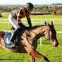 Rockett-powered Mullins contender has handicapper ‘shaking in his boots’