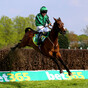 No Grand National fairytale for €850 horse Hewick, with Aintree Bowl set as next target