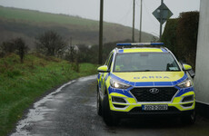 Articulated lorry driver killed in single vehicle collision in County Wexford