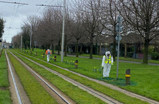 Transport authority sprayed cocktail of pesticides in Dublin park near Grand Canal