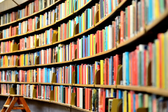 Two Irish novels among six books shortlisted for international Dublin Literary Award - Vimarsana News