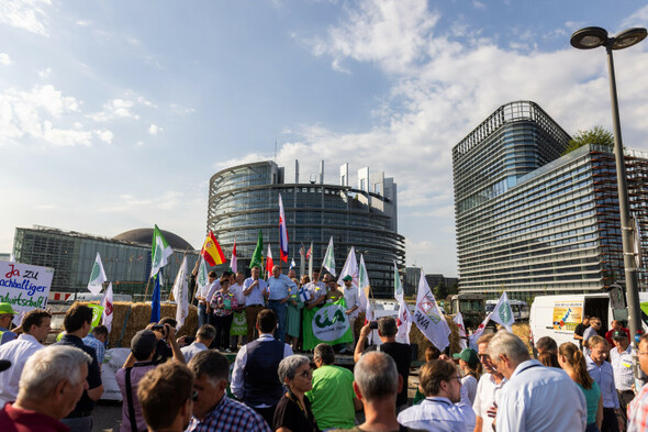 Opinion: EU failure to pass the Nature Restoration Law shows a worrying shift to the right - Vimarsana News