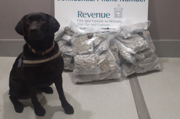 Woman arrested after €300,000 of herbal cannabis discovered in luggage at Dublin Airport - Vimarsana News
