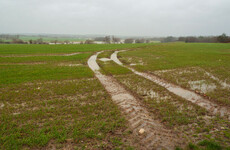 Farmers face 'extreme pressures' as heavy rainfall saturates soil