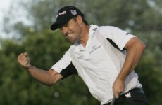 A dozen bets to consider in 2011