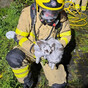 Dublin firefighters rescue some 'furry family members' from Drimnagh house fire