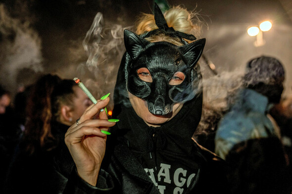 Germany legalises cannabis for recreational use despite opposition - Vimarsana News