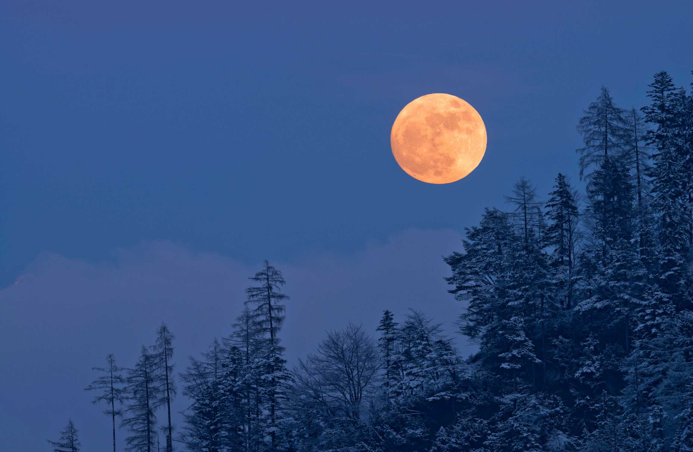 Time and space: Nasa has been asked to create a new time zone for the Moon - Vimarsana News