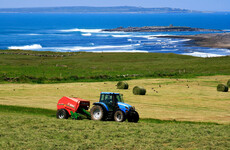 Irish Farmers' Association criticise plans for 'blitz of farm inspections' amid heavy rain