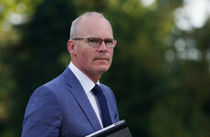 Coveney rules out run for Europe, says decision to step down wasn't about being 'shafted' by Harris