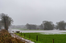 Fodder Committee to discuss the difficulties farmers are facing as a result of the wet weather