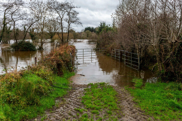 Are you a farmer affected by the recent bad weather? We want to hear your stories - Vimarsana News