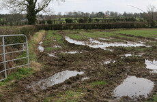 New payments for fodder transport announced in 'brutal year' for farming