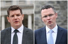 Peter Burke and Patrick O'Donovan have just been named as Cabinet ministers - so who are they?