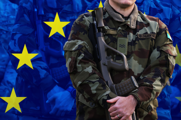 European elections: Voters sceptical about an EU army and whether Ireland should participate - Vimarsana News