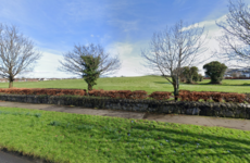 Man (20s) hospitalised after being seriously assaulted in Dublin park this morning