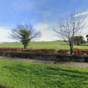 Man (20s) hospitalised after being seriously assaulted in Dublin park this morning