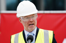 Health Minister ‘fully expects’ long-delayed children’s hospital to be completed this year