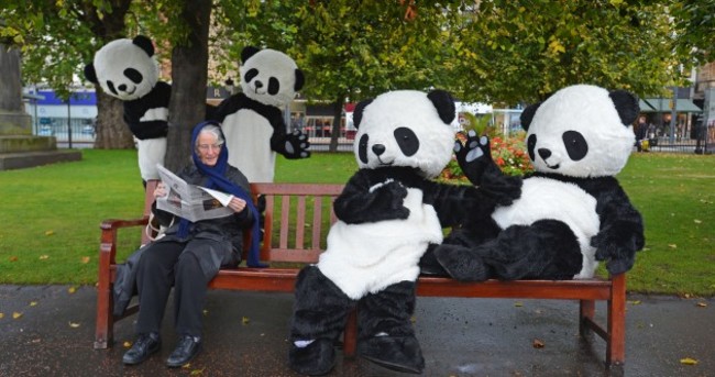 GALLERY: Edinburgh is invaded by giant pandas... kind of