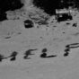 Three men rescued from tiny island in Pacific Ocean after writing 'HELP' on beach using palm leaves