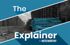The Explainer x Noteworthy: Why are our peatlands still being exploited?