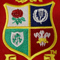 Lions and Royal London announce €3.5 million grant