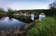 Tirlán boss wants Govt to give €40m to plan aimed at improving 'worst rivers' in Ireland