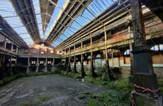 Advanced works get underway to repair Dublin's Iveagh Markets